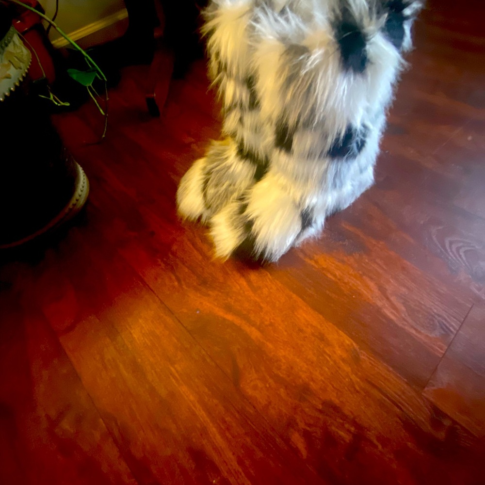 Furry Boots